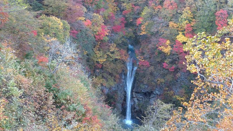 那須温泉の写真