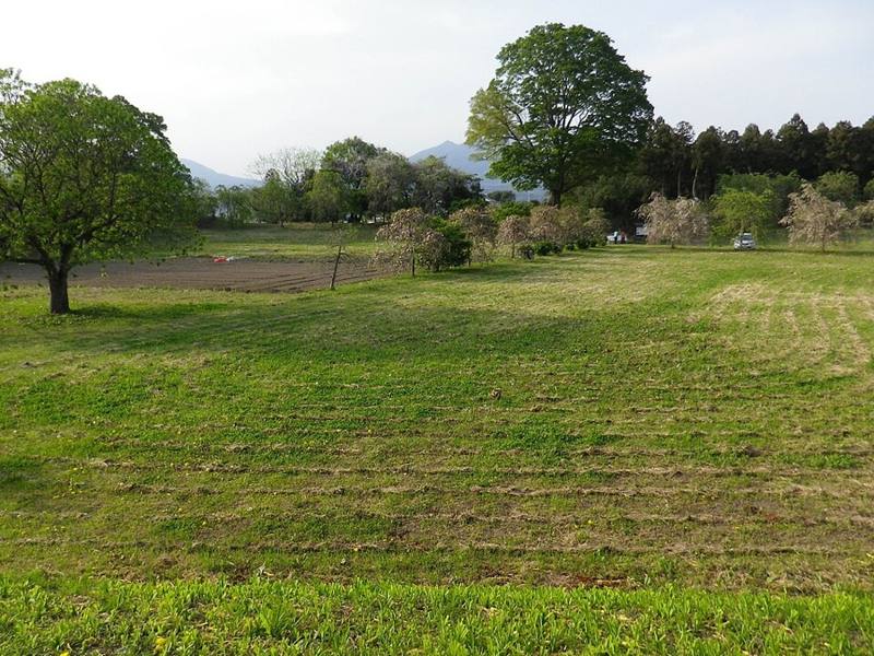 白井城