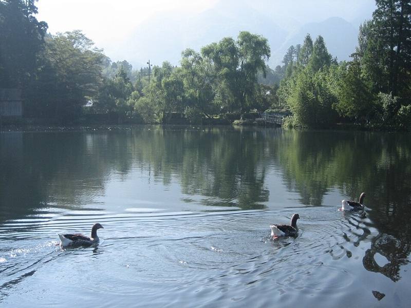 金鱗湖